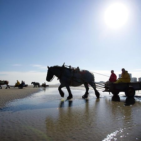 Vitamine D Koksijde Dış mekan fotoğraf