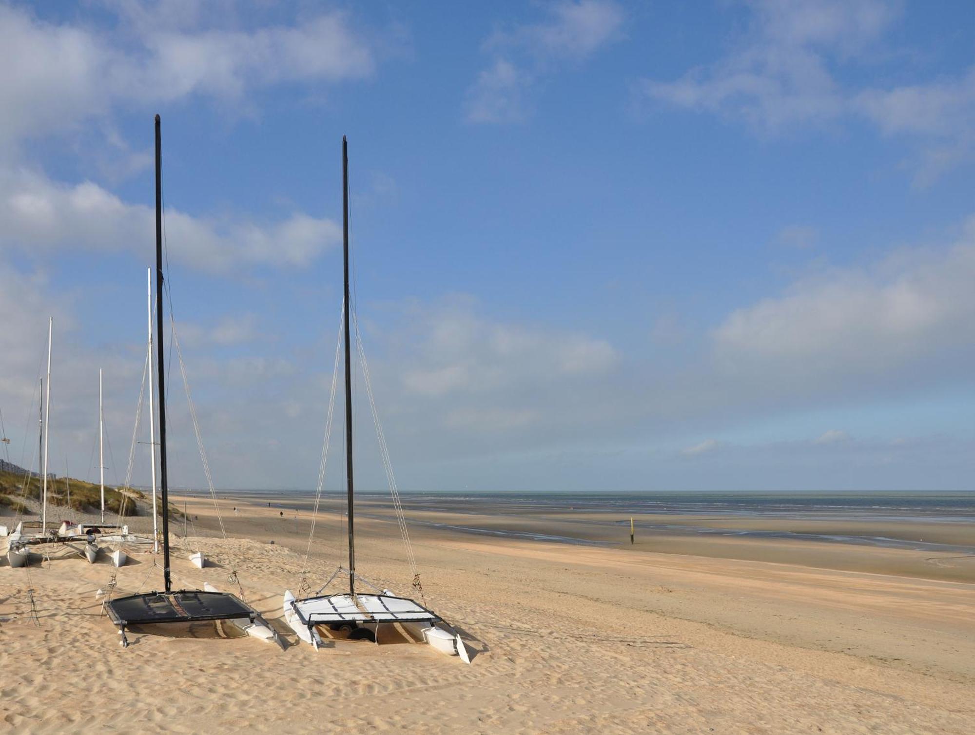 Vitamine D Koksijde Dış mekan fotoğraf
